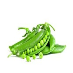 resized-image-Promo - 2025-09-28T143026.077