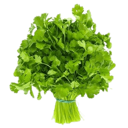 हरा धनिया per kg